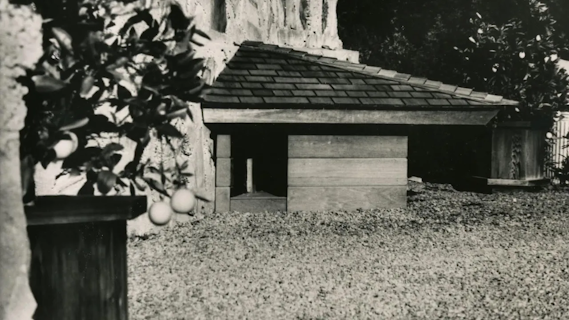 The Story of a Doghouse Designed by Frank Lloyd Wright
