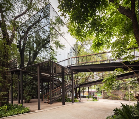 Naiipa Art Complex: The True Definition of 'Deep in the Forest' in Bangkok