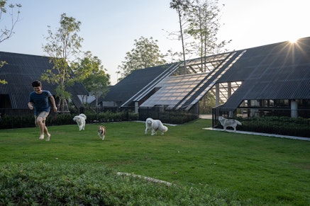 Dog/Human House: An Architecture That Can Honor Every Life in It
