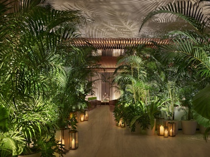 From Kengo Kuma, a Hotel with "Forests" in the Heart of Tokyo