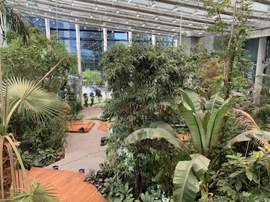 Exotic Workplace Garden with "Nature Connect" Concept in Poland