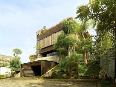 OHIO House: Nature Inside a Residence, by StudioRK